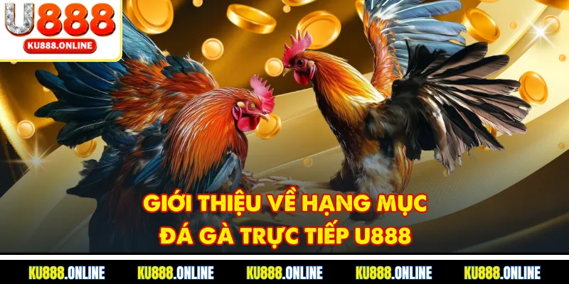 Giới thiệu về hạng mục đá gà trực tiếp U888